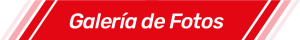 titulo-galeria-padel-esp